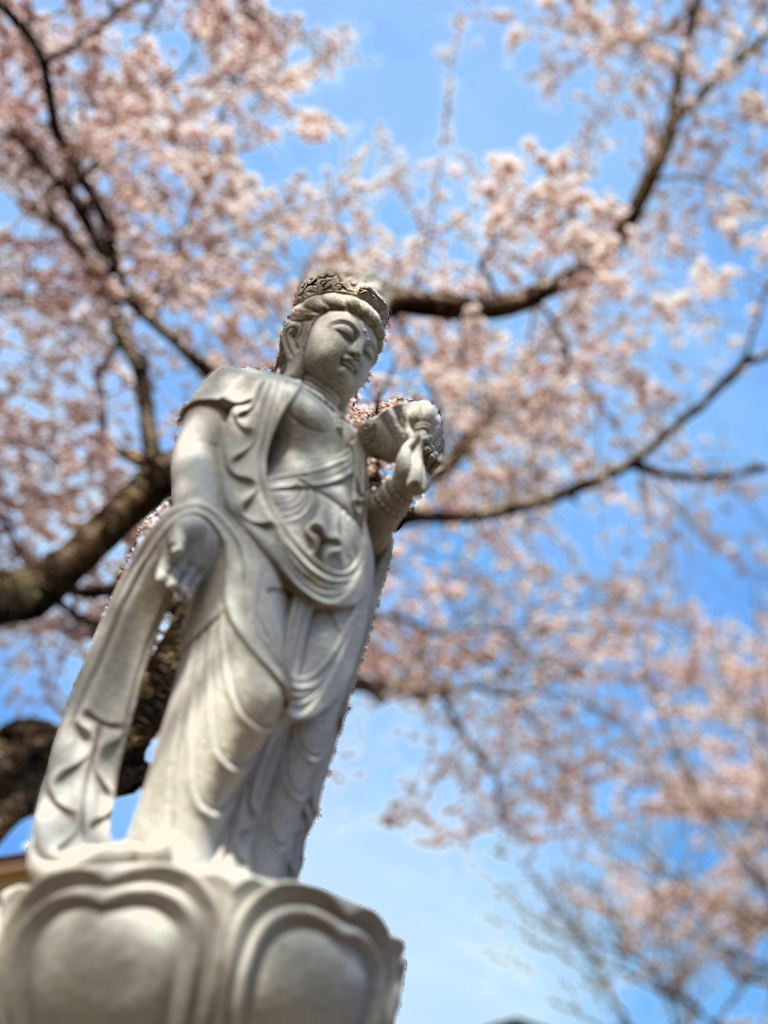 樹木葬