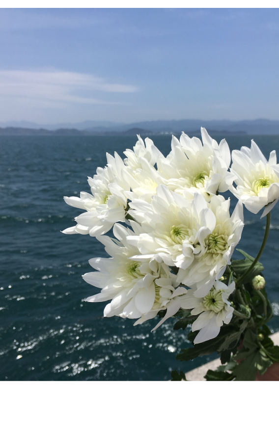 海洋散骨